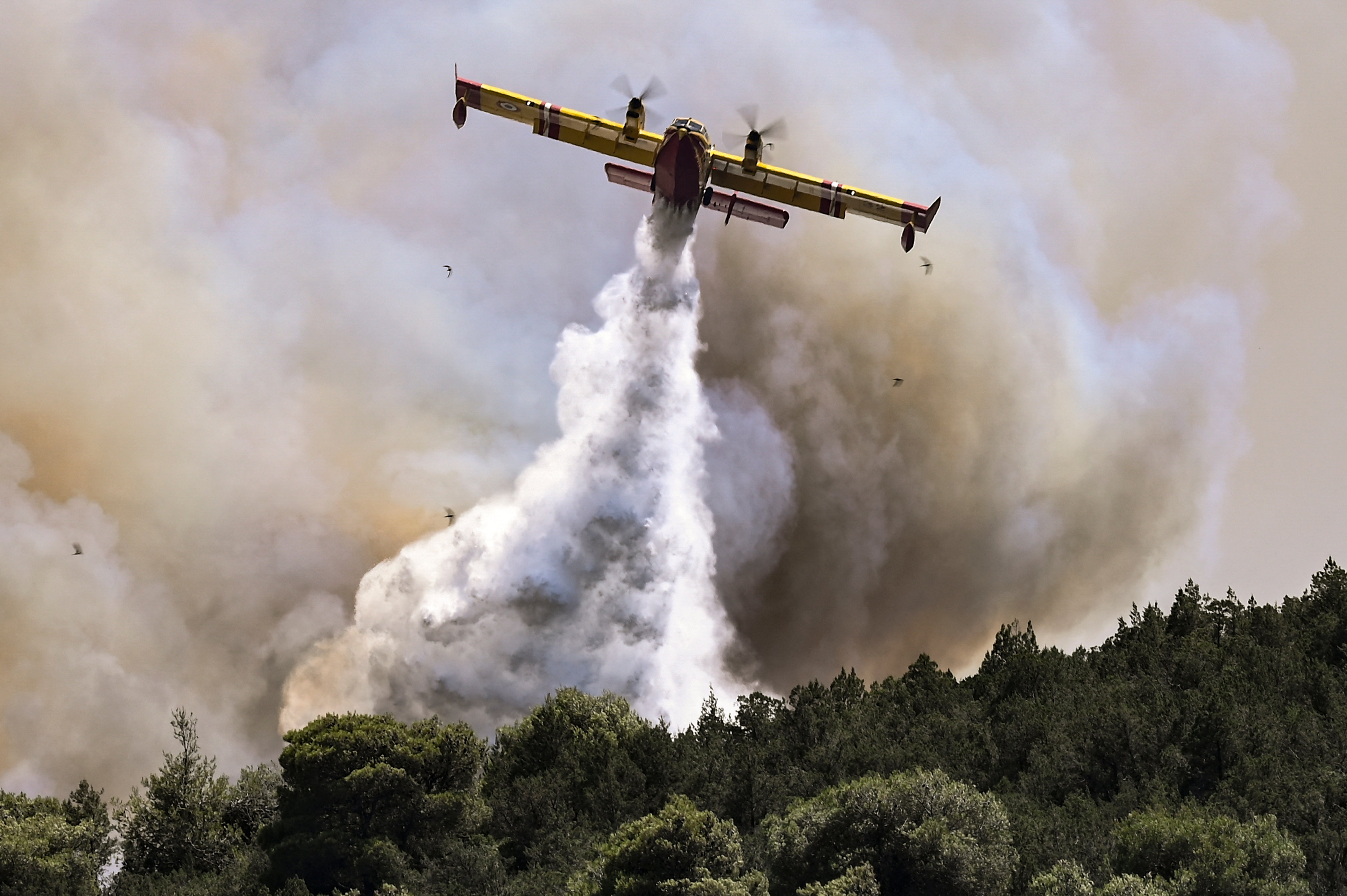 A Canadair firefighting plane sprays water during a fire in Dervenochoria, north-west of Athens