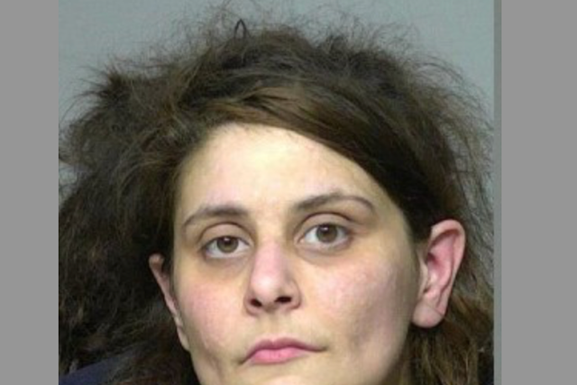 <p>Katie Koch, 34, has been arrested for allegedly imprisoning her two sons aged 7 and 9 in a Milwaukee home</p>