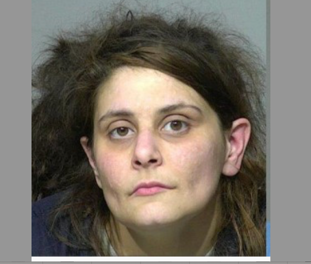 <p>Katie Koch, 34, has been arrested for allegedly imprisoning her two sons aged 7 and 9 in a Milwaukee home</p>