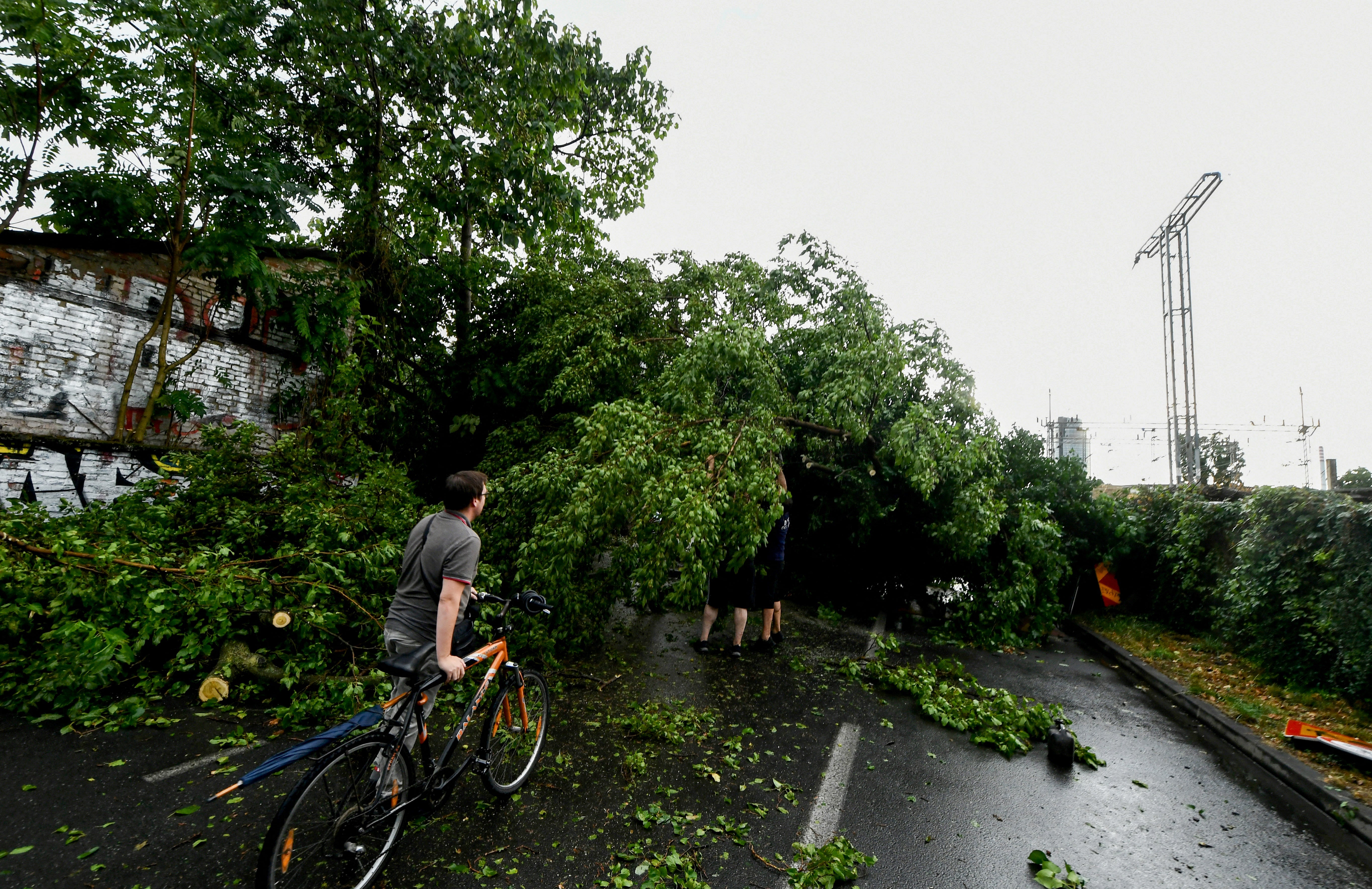 Local residents try to remove fallen trees from the road after a sudden storm in Zagreb