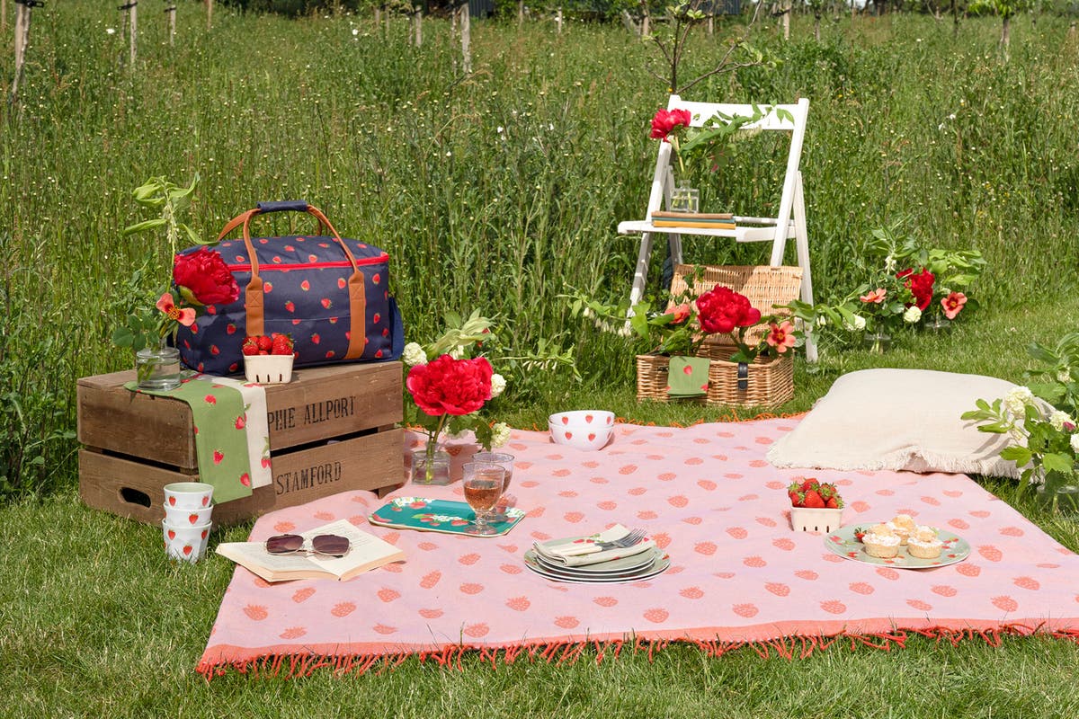 10 ways to style up your picnic The Independent