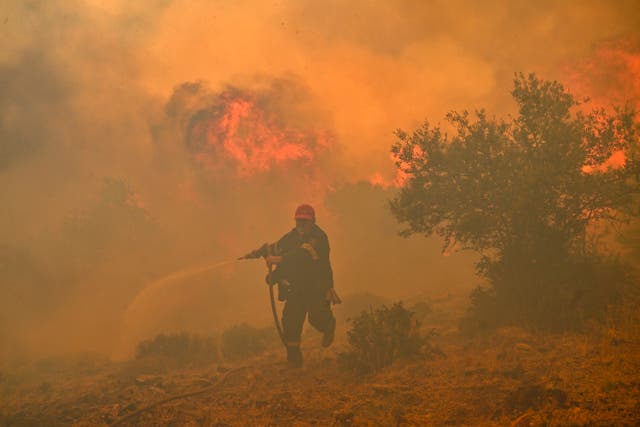 <p>A fireman runs away from blazes as he tries to control a wildfire in New Peramos, near Athens</p>