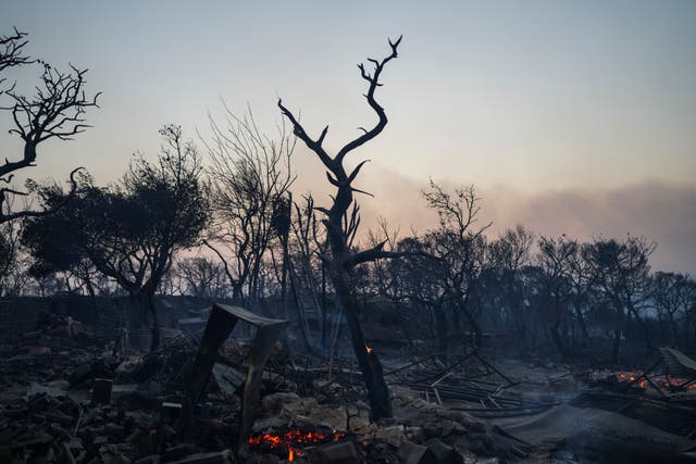 Wildfires in Greece, made more frequent and intense by human-induced climate change, have been devastating the mainland during a ferocious heatwave (Petros Giannakouris/AP)