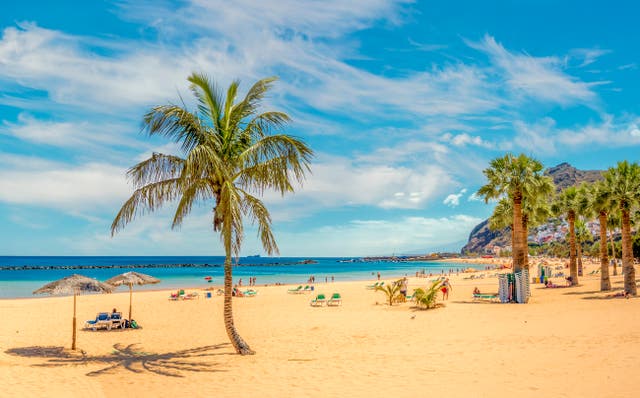 <p>Tenerife’s weather allows for days spent on the beach, even in December </p>