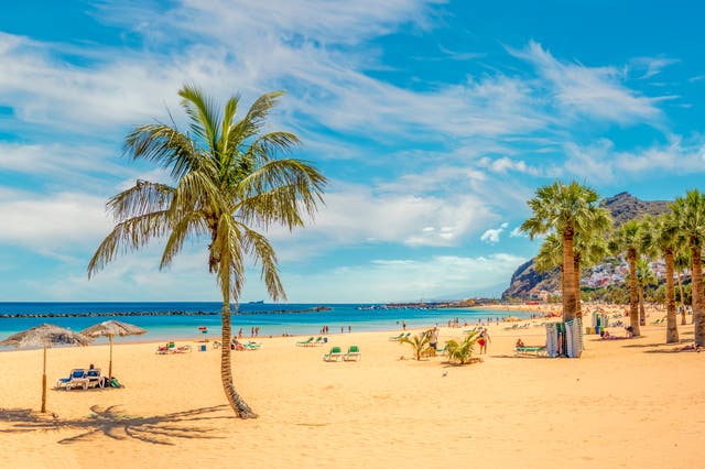 <p>Tenerife’s weather allows for days spent on the beach, even in December </p>