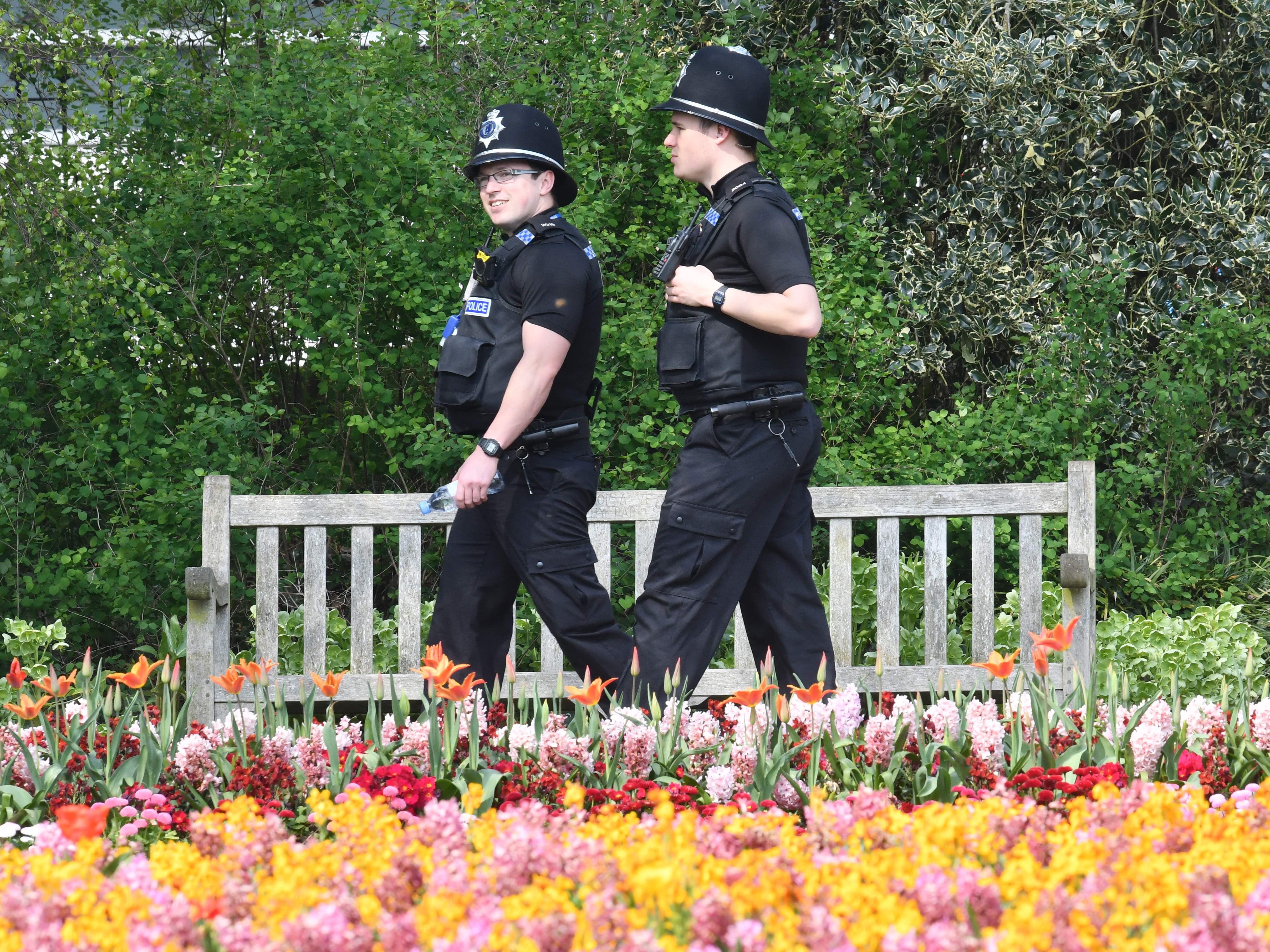 Council fines for 'busybody offences' rise amid crackdown on tree climbing and begging - Vimarsana News