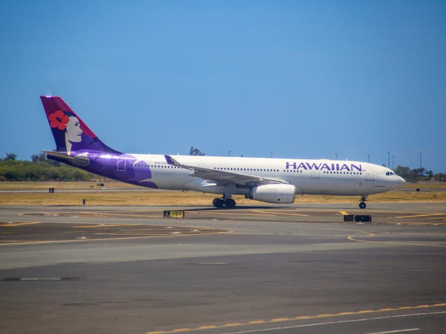 <p>Hawaiian Airlines is the largest operator of commercial flights to and from the 50th US state </p>