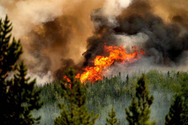 <p>Flames from the Donnie Creek wildfire burn along a ridge top north of Fort St. John, British Columbia, Canada earlier this week </p>