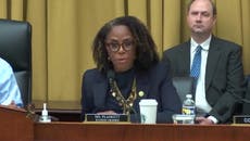 Stacey Plaskett excoriates House Republicans for inviting conspiracist Robert F Kennedy Jr to testify