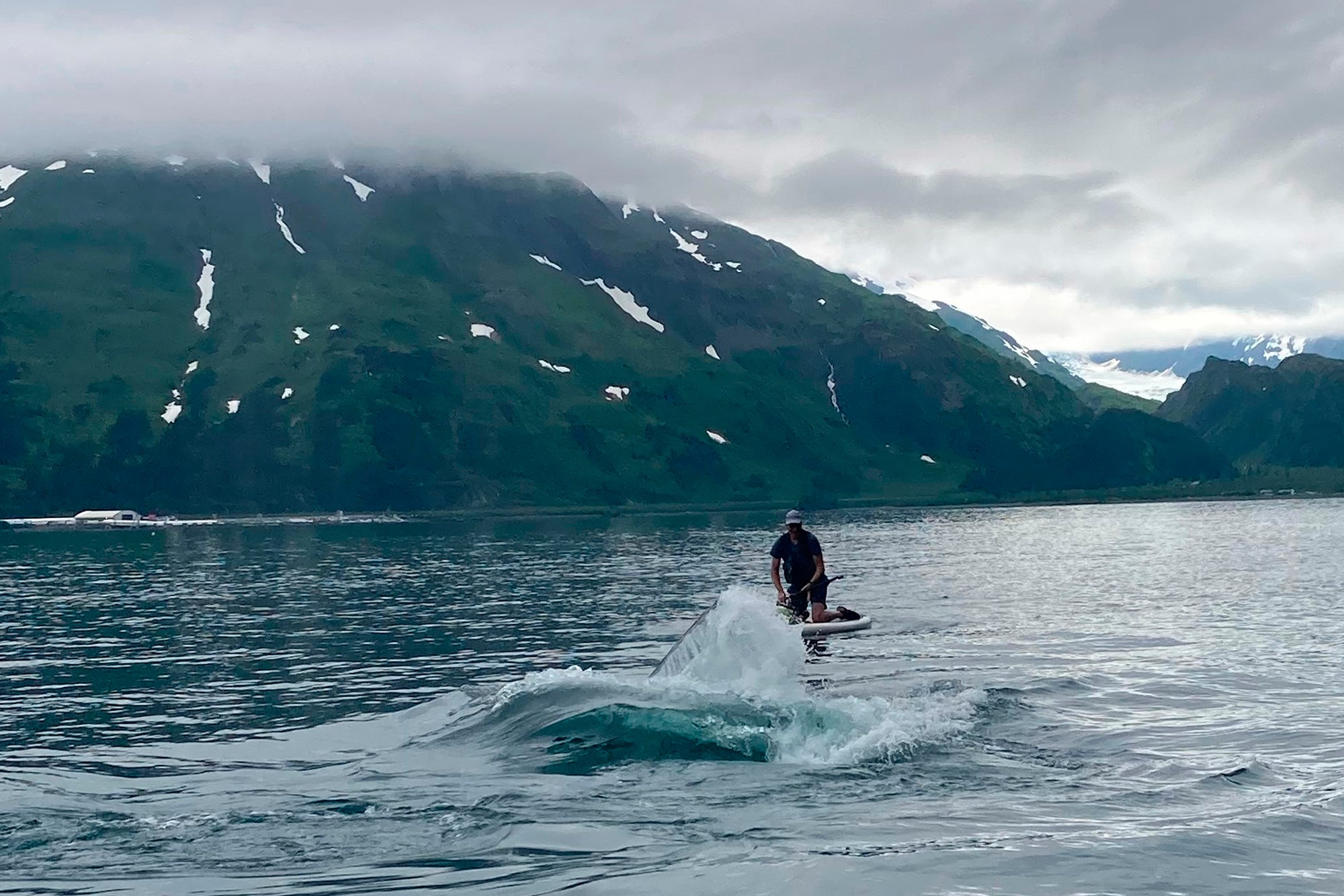 Alaska Whale Paddleboarder
