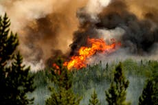 Canada’s wildfires caused 1 billion tonnes of carbon dioxide emissions, scientists say