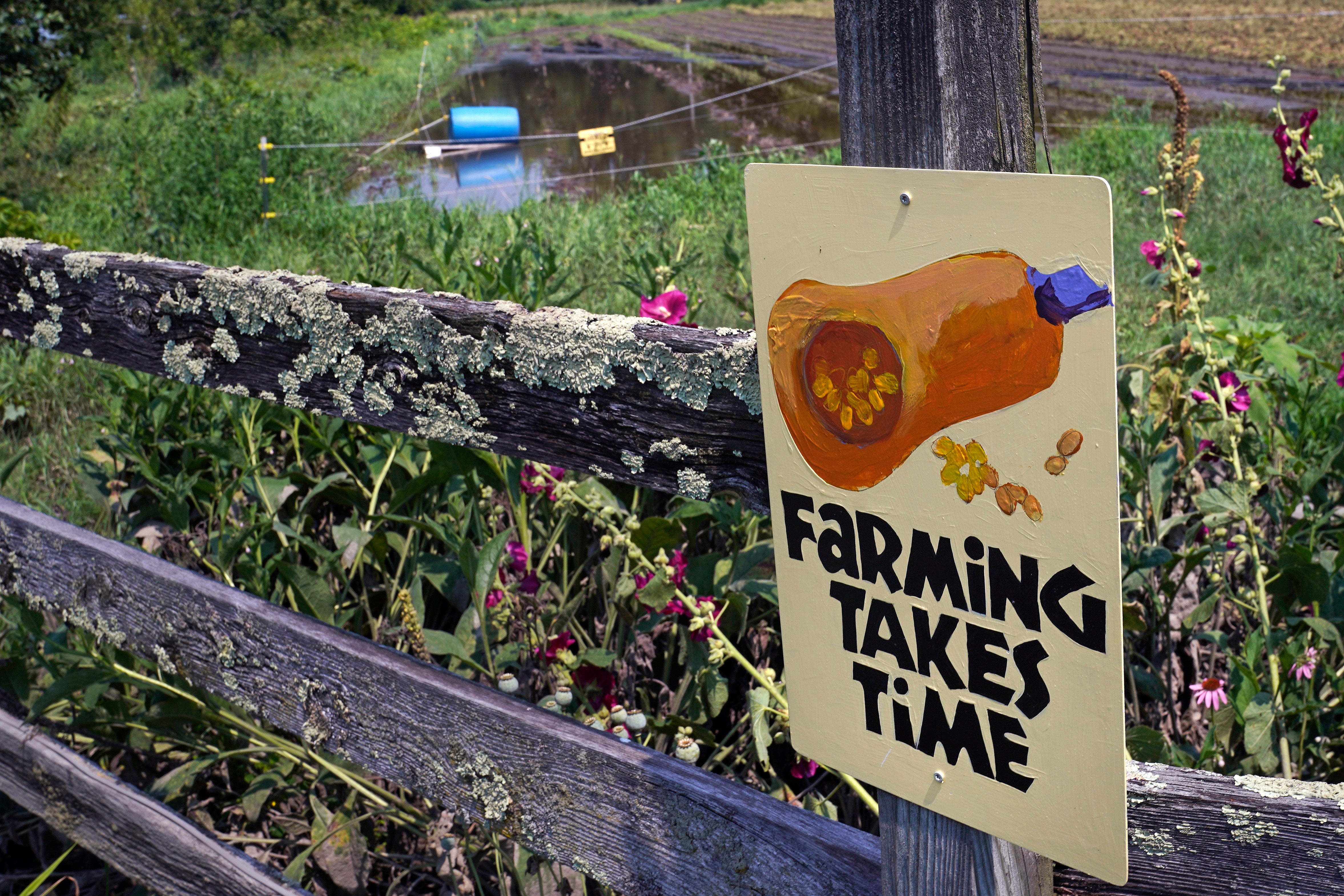 Northeast Floods-Farmers