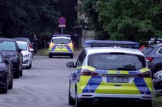 'Lioness' on the loose? More experts join police in second-day search for elusive animal