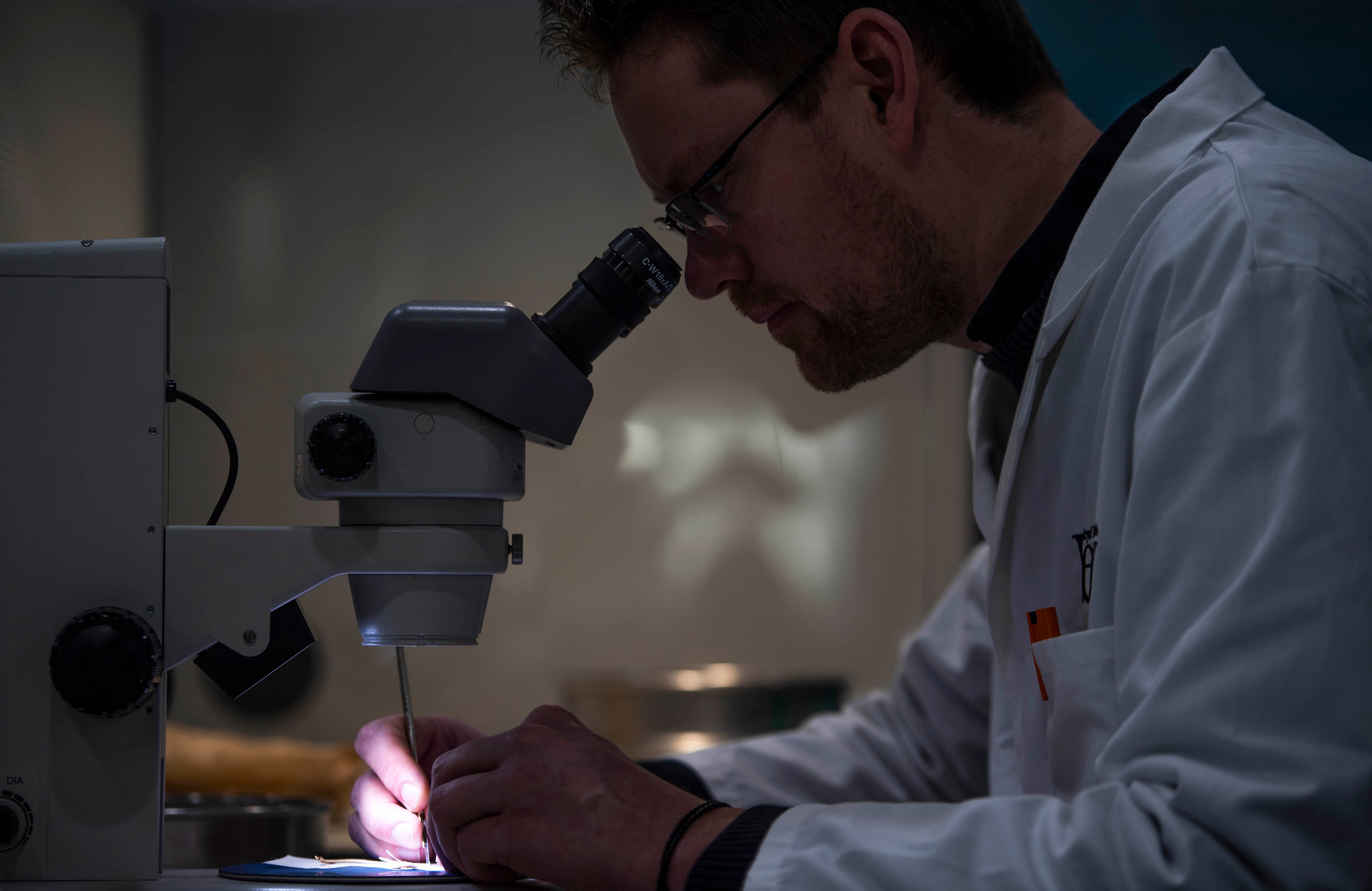 A seed casing is dissected ahead of storage