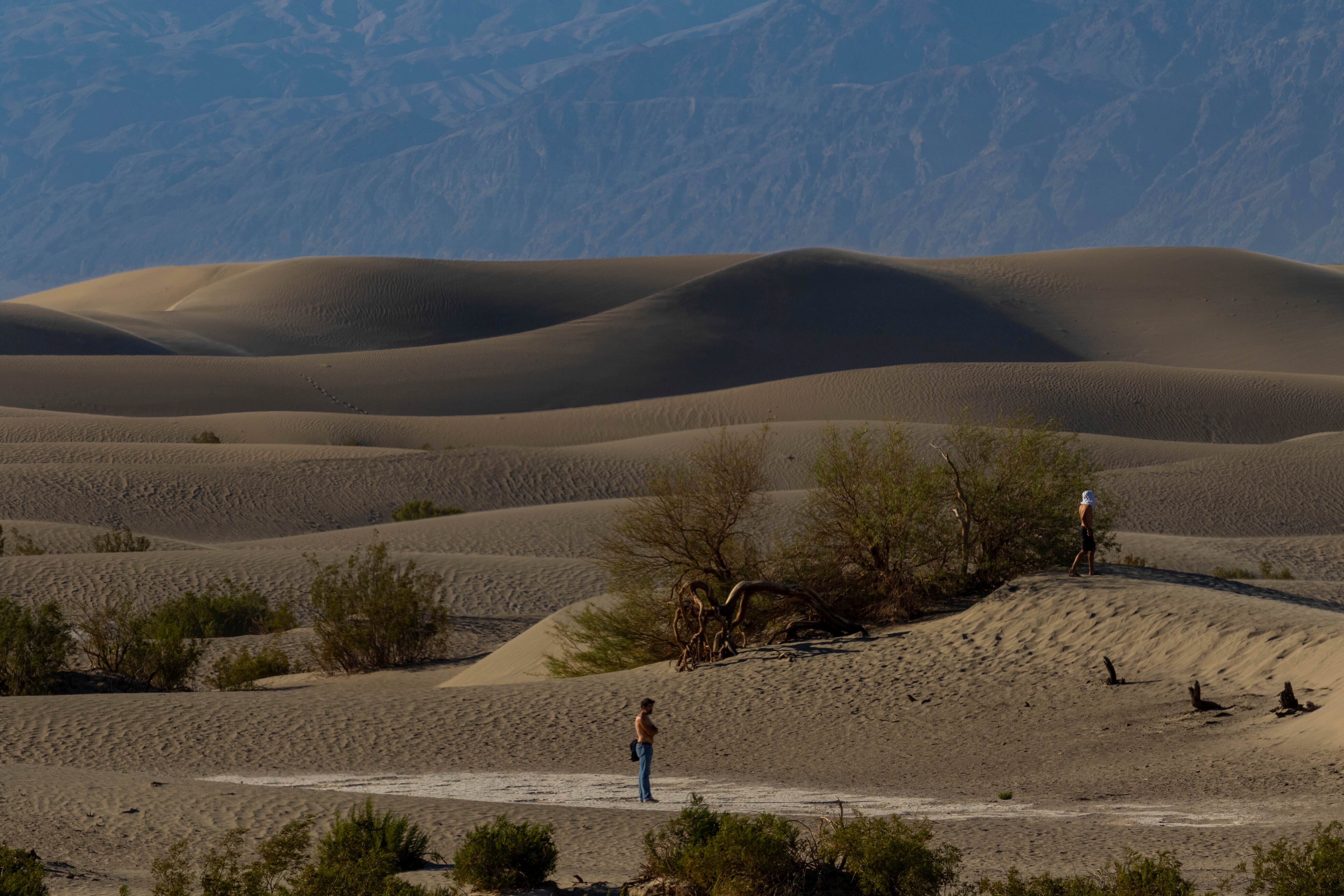 A man seen exploring the Mesquite Flat Sand Dunes on Tuesday 11 July 2023 in Death Valley National Park