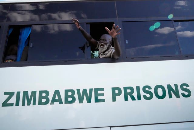 Zimbabwe Sex Offender