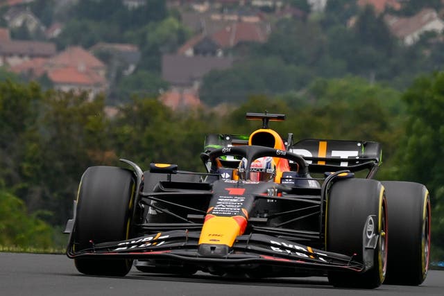 Max Verstappen has mastered all conditions this season (Denes Erdos/AP)