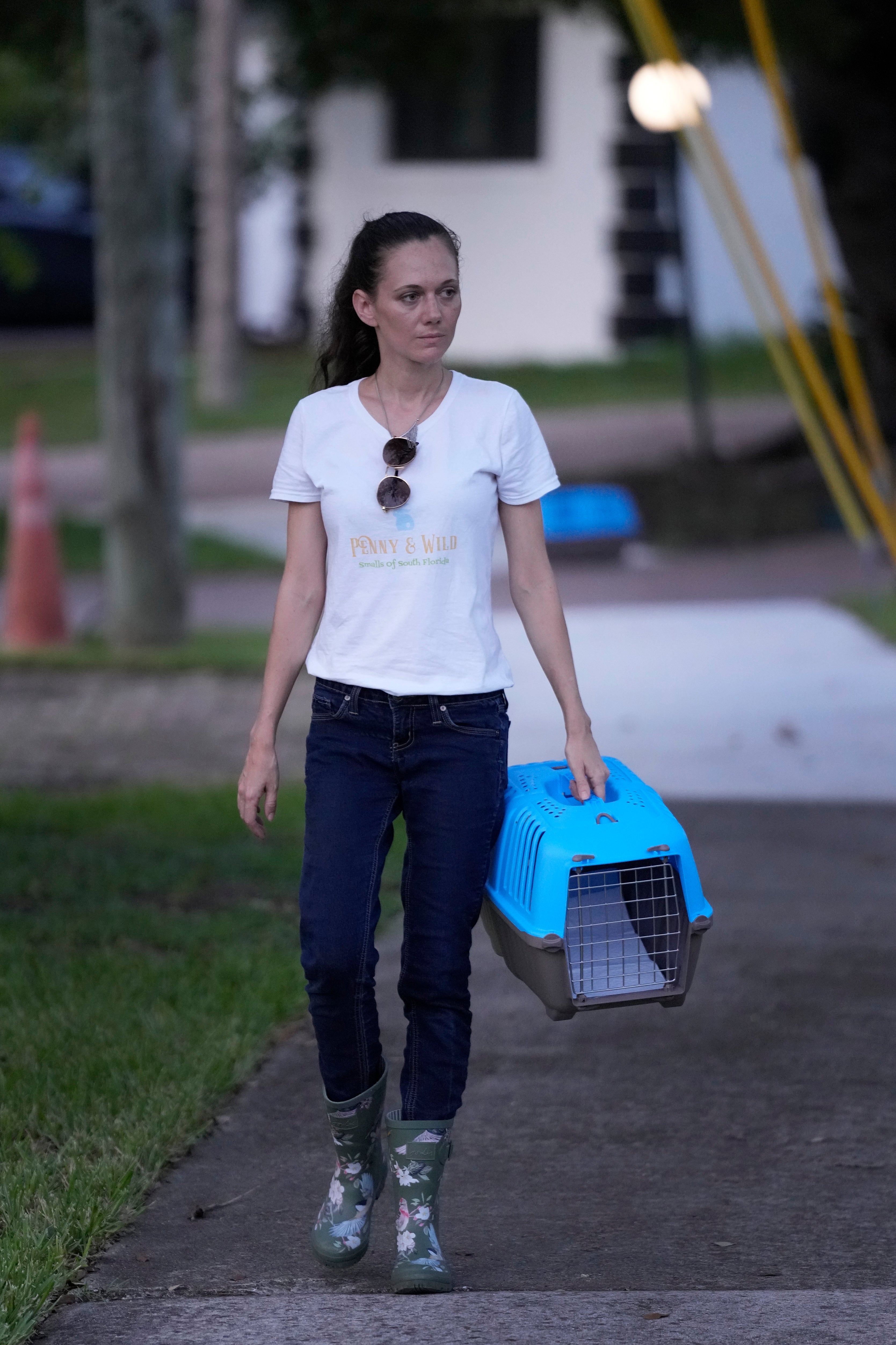 Invasive Rabbits Florida