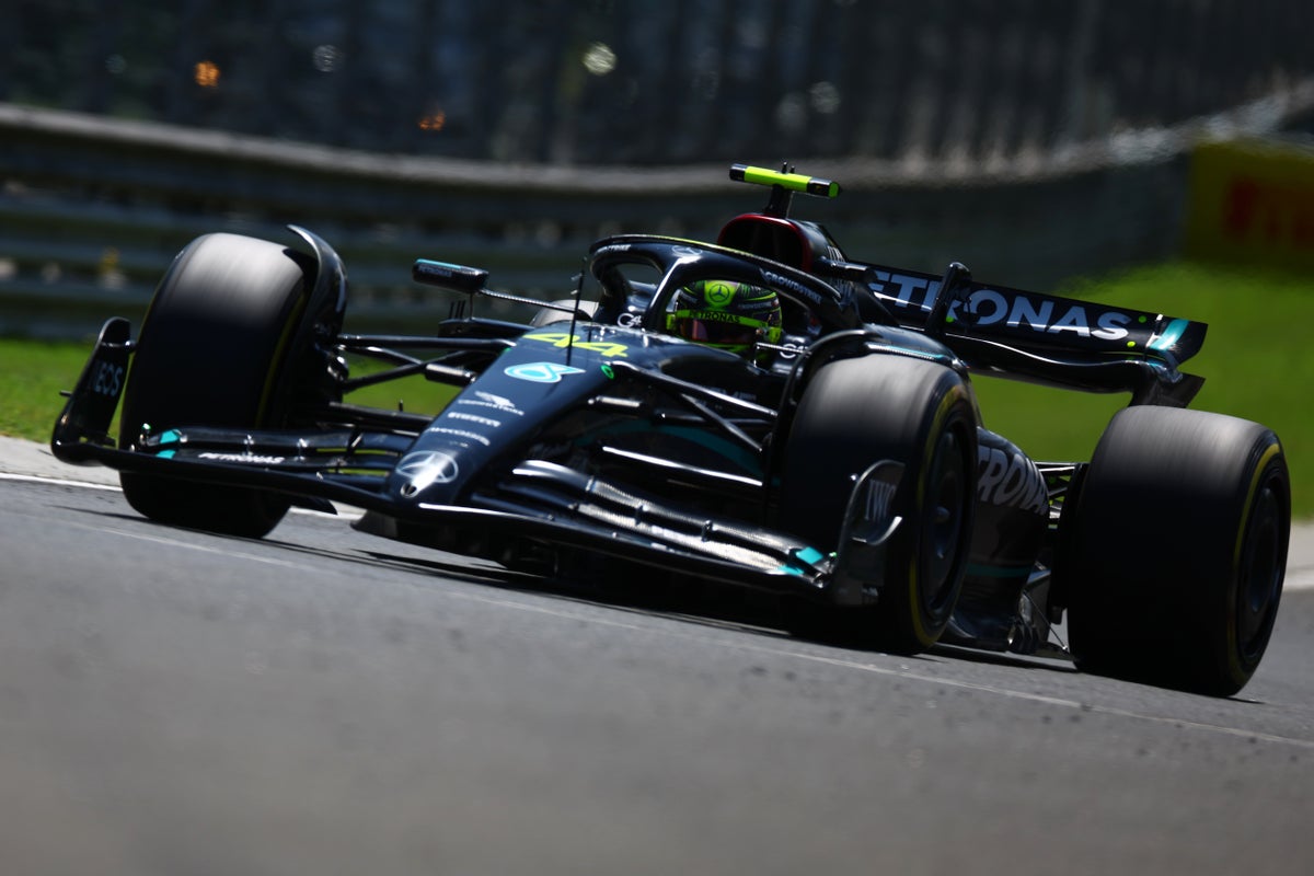 Lewis Hamilton fastest in final practice at Hungarian Grand Prix