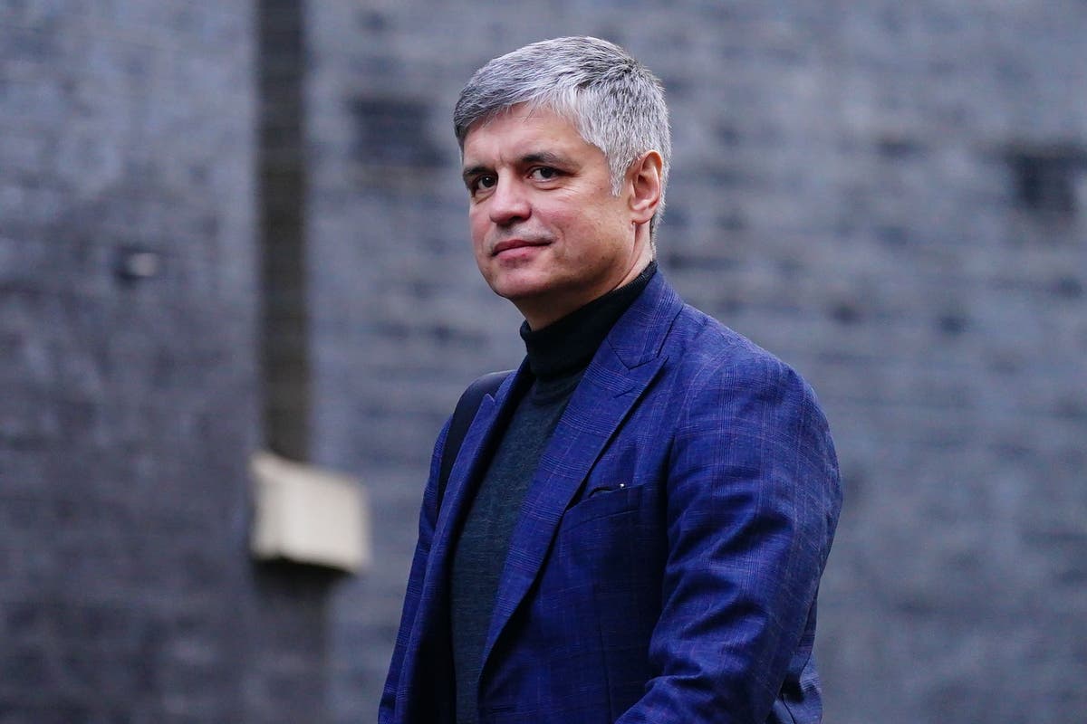 Sacked ambassador thanks UK for support during Ukraine&rsquo;s &lsquo;darkest hour&rsquo;