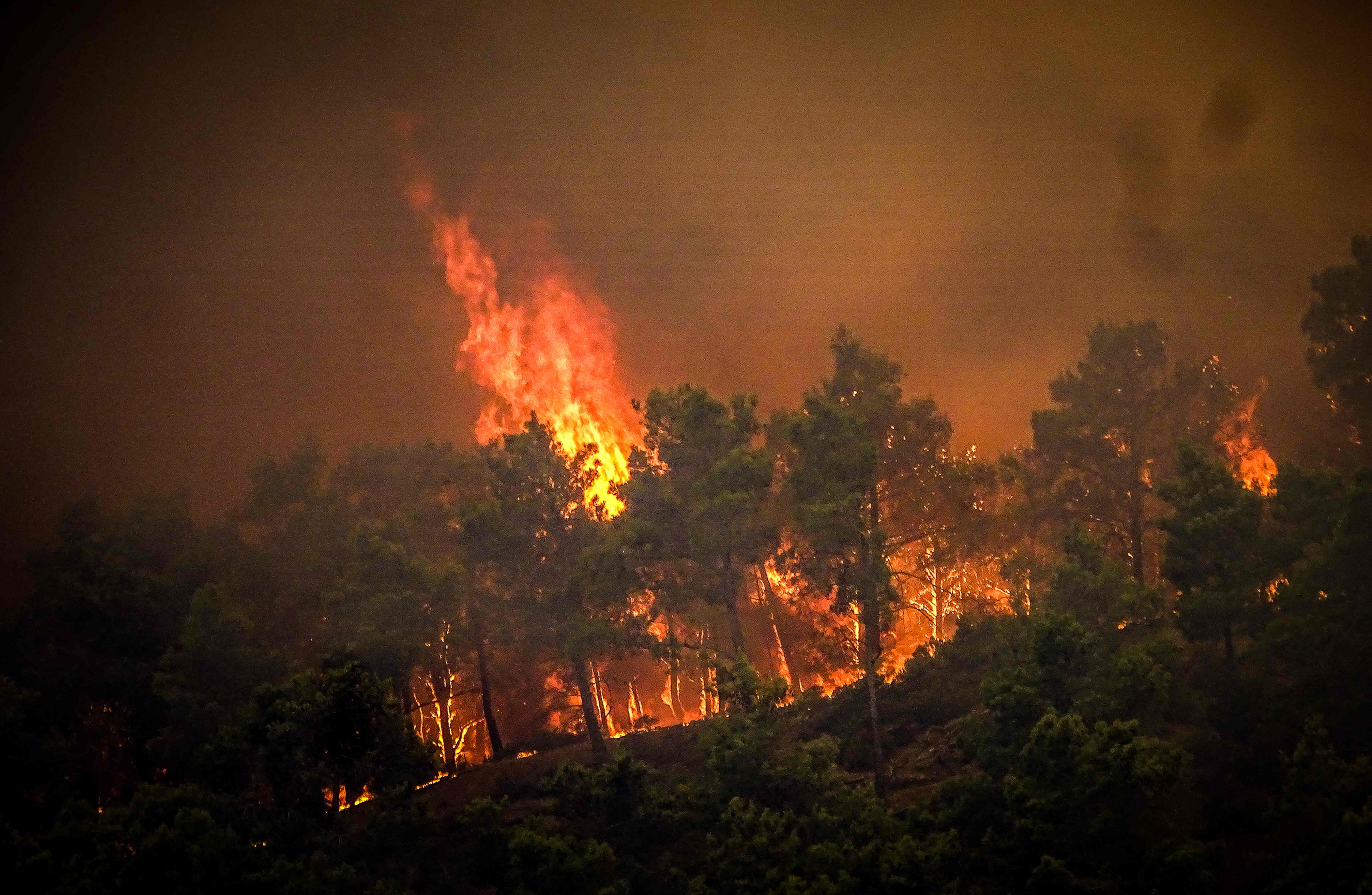 Pine trees burning in a wildfire on the Greek island of Rhodes, on July 22