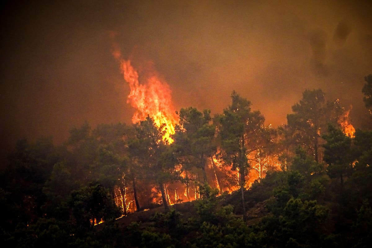 First flights due to rescue British holidaymakers fleeing Rhodes wildfires