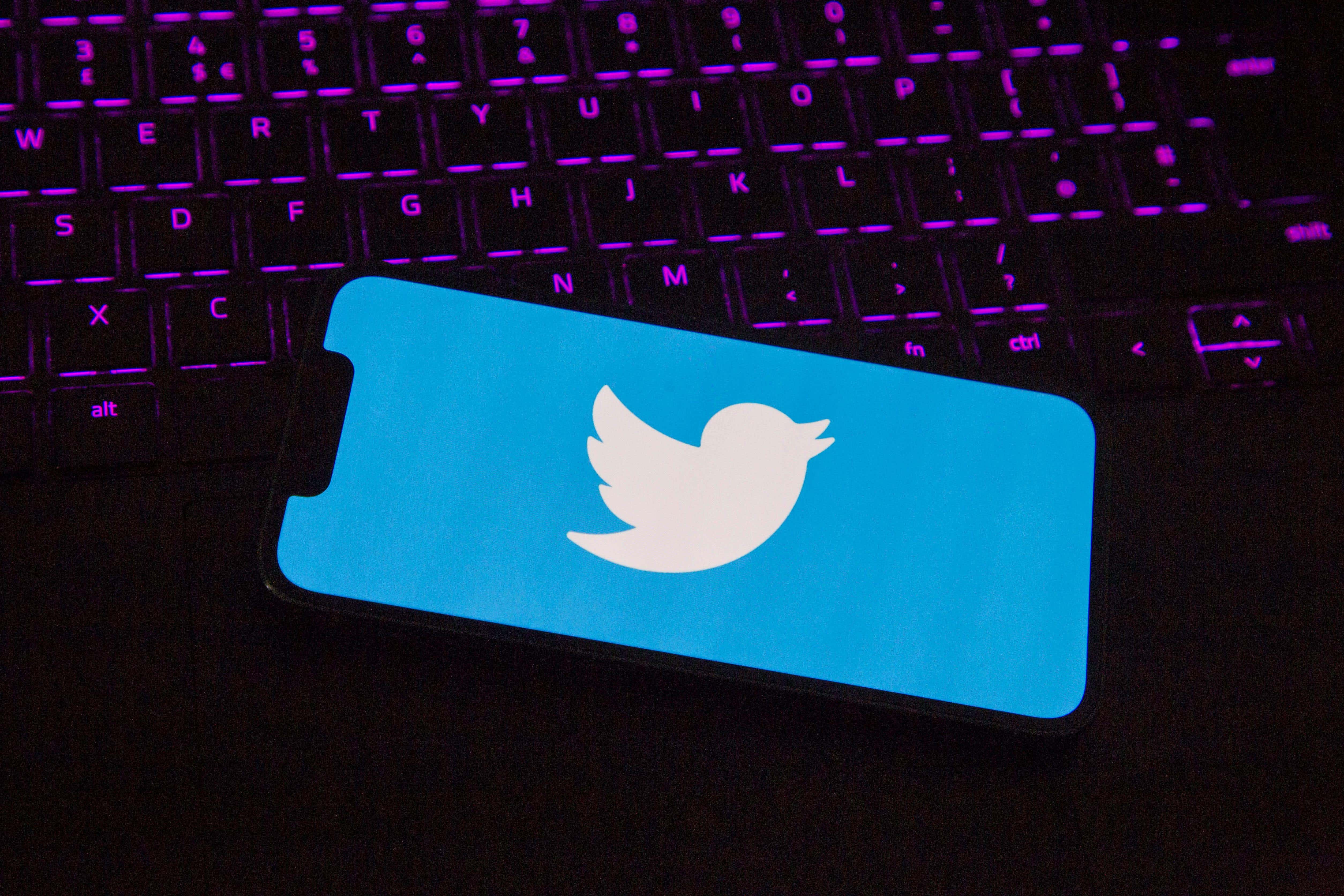 Elon Musk has suggested the Twitter bird could be replaced by an X (Alamy/PA)