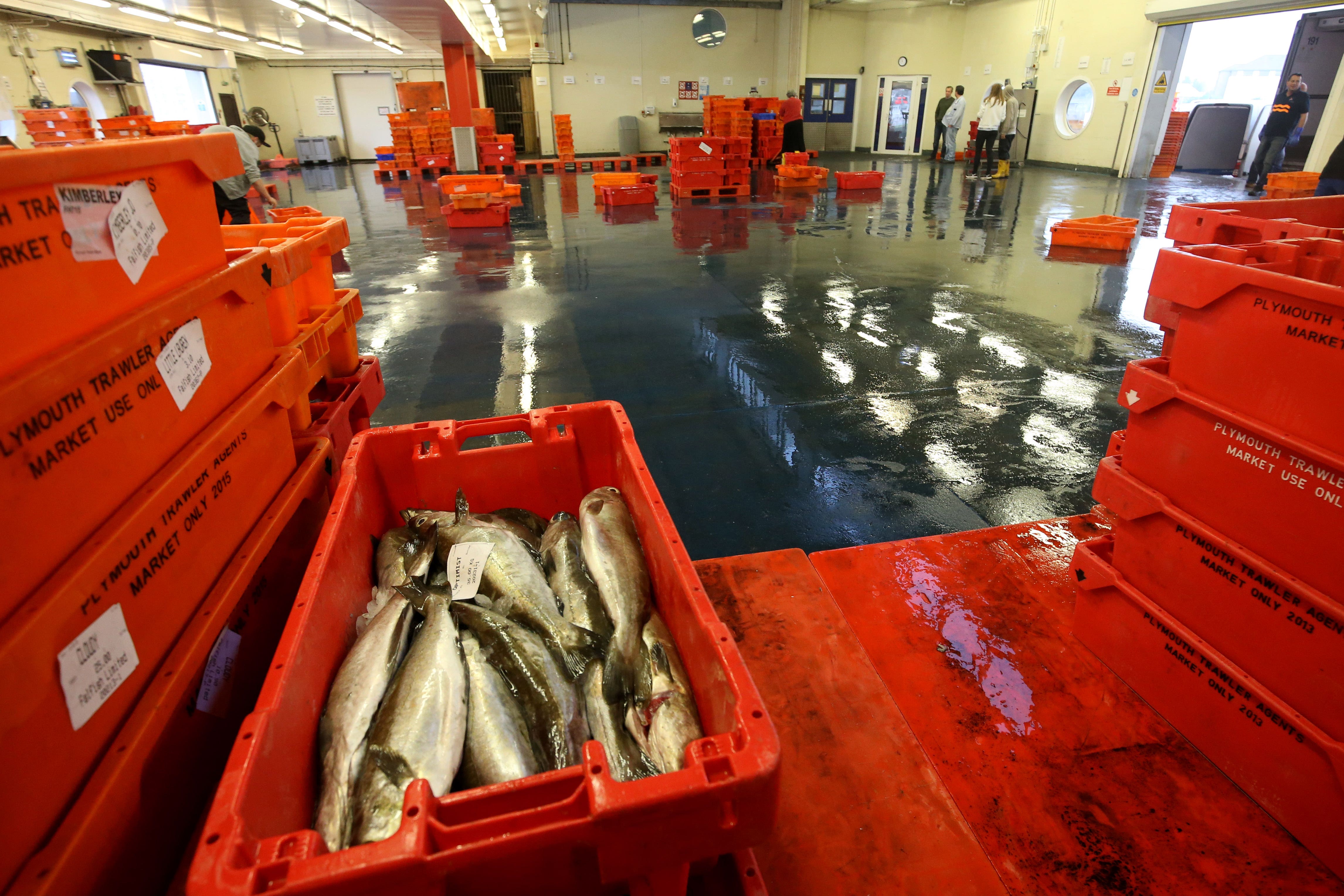 Fisheries that rely on stocks in the North Atlantic may struggle to sustain their catches if the high temperatures damage fish populations (Steve Parsons/PA)