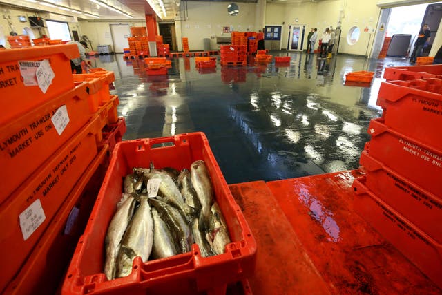 Fisheries that rely on stocks in the North Atlantic may struggle to sustain their catches if the high temperatures damage fish populations (Steve Parsons/PA)