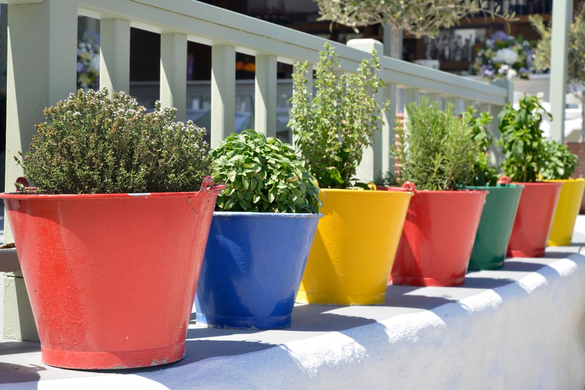 Come abbellire orti urbani da balcone e fioriere