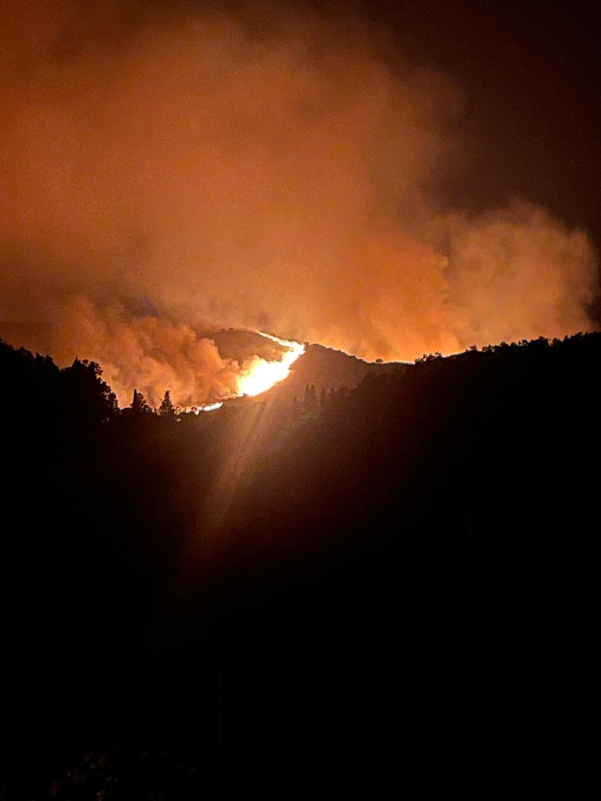 Brit family in Corfu describe holiday horror after returning from dinner to ‘bank of flames coming down the hillside’