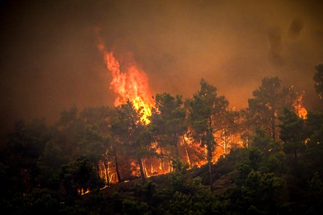 <p>Flames rise during a forest fire on the island of Rhodes in Greece</p>