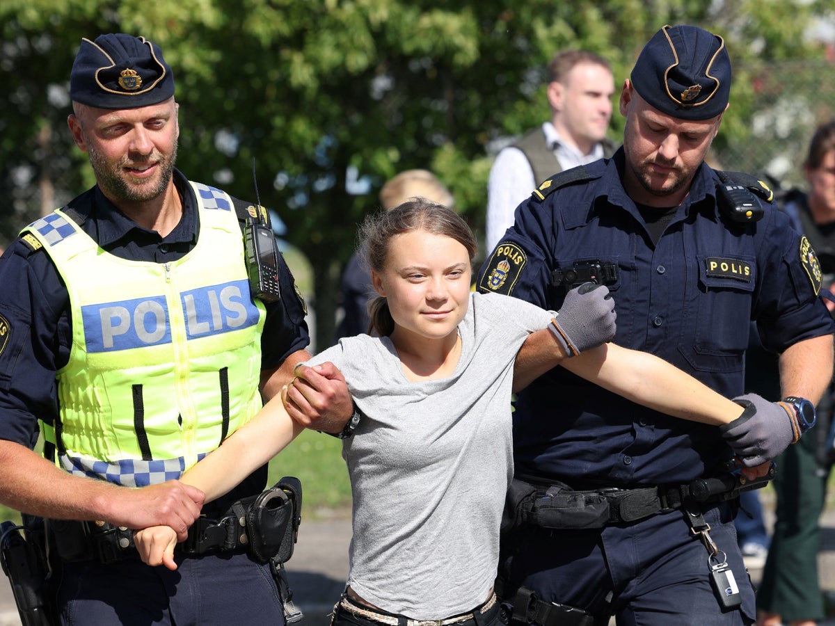 Greta Thunberg forcibly removed from climate protest – hours after being fined for disobeying police