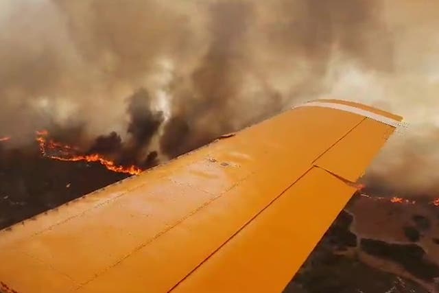 <p>Turkish aircraft tackling Greek wildfires flies through thick smoke.</p>