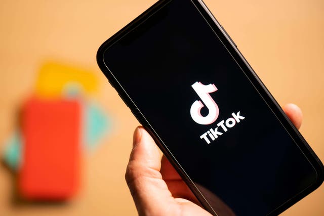 TikTok has launched text-only posts (Alamy/PA)