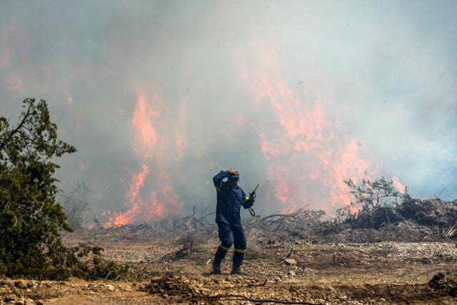 <p>Greece Wildfires</p>