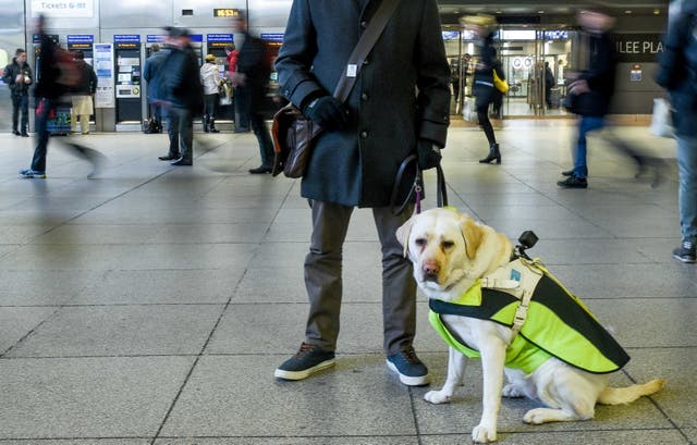 <p>The charity Guide Dogs has found that 81 per cent of owners have  been refused entry when out with their dogs – which is illegal </p>
