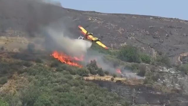 <p>A plane fighting wildfires in Greece has crashed</p>