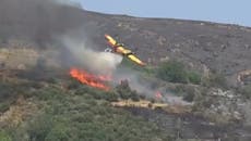 Plane fighting Greece wildfires crashes in Evia leaving ‘two people’ dead