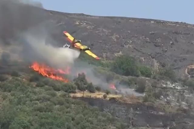 <p>A plane fighting wildfires in Greece has crashed</p>