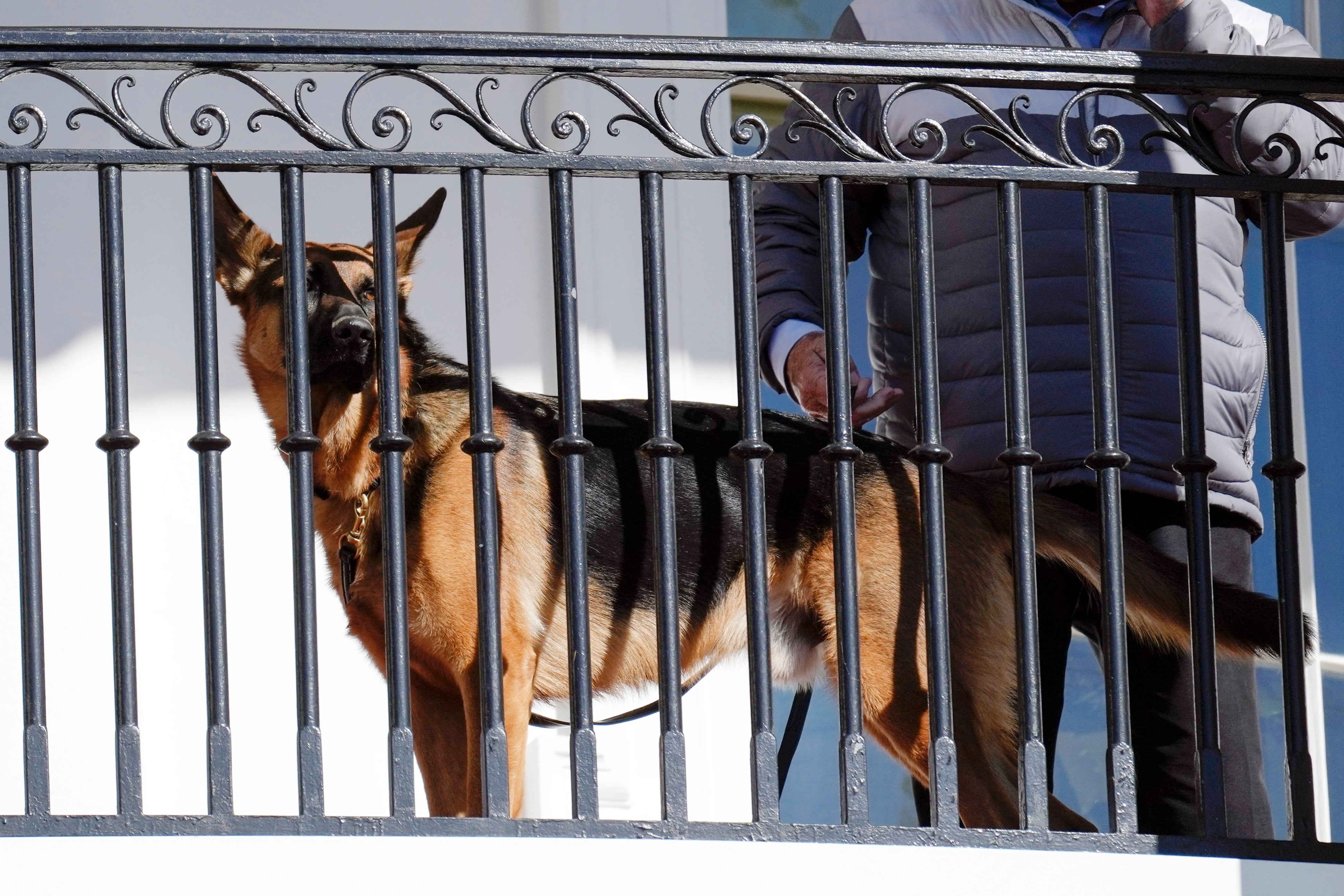 Commander on a White House balcony in 2022