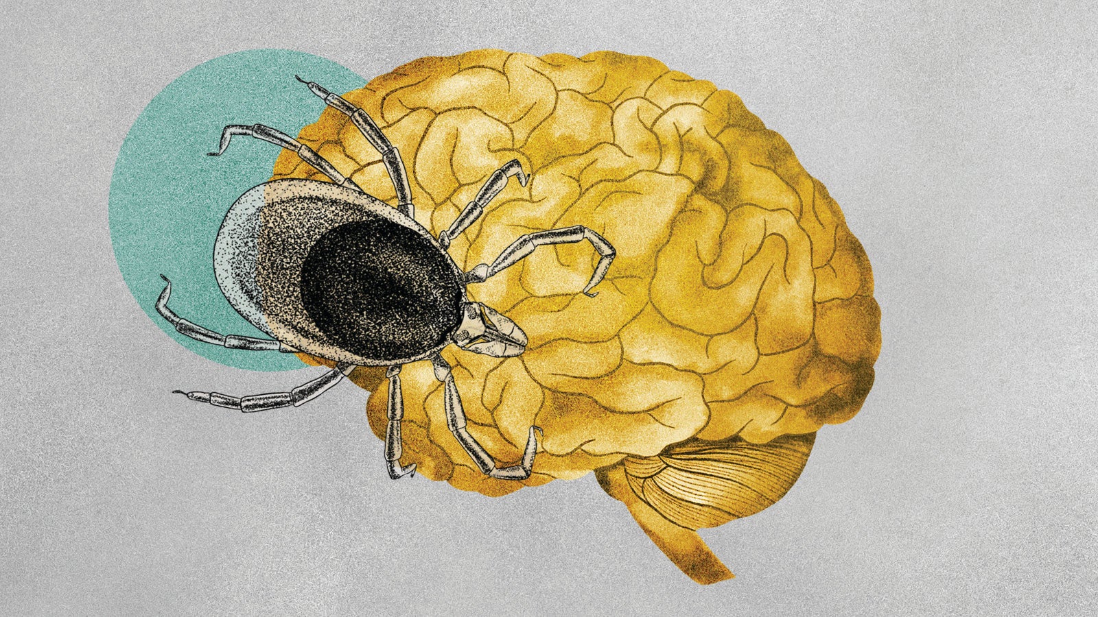 Climate Change-Infectious Diseases-Ticks