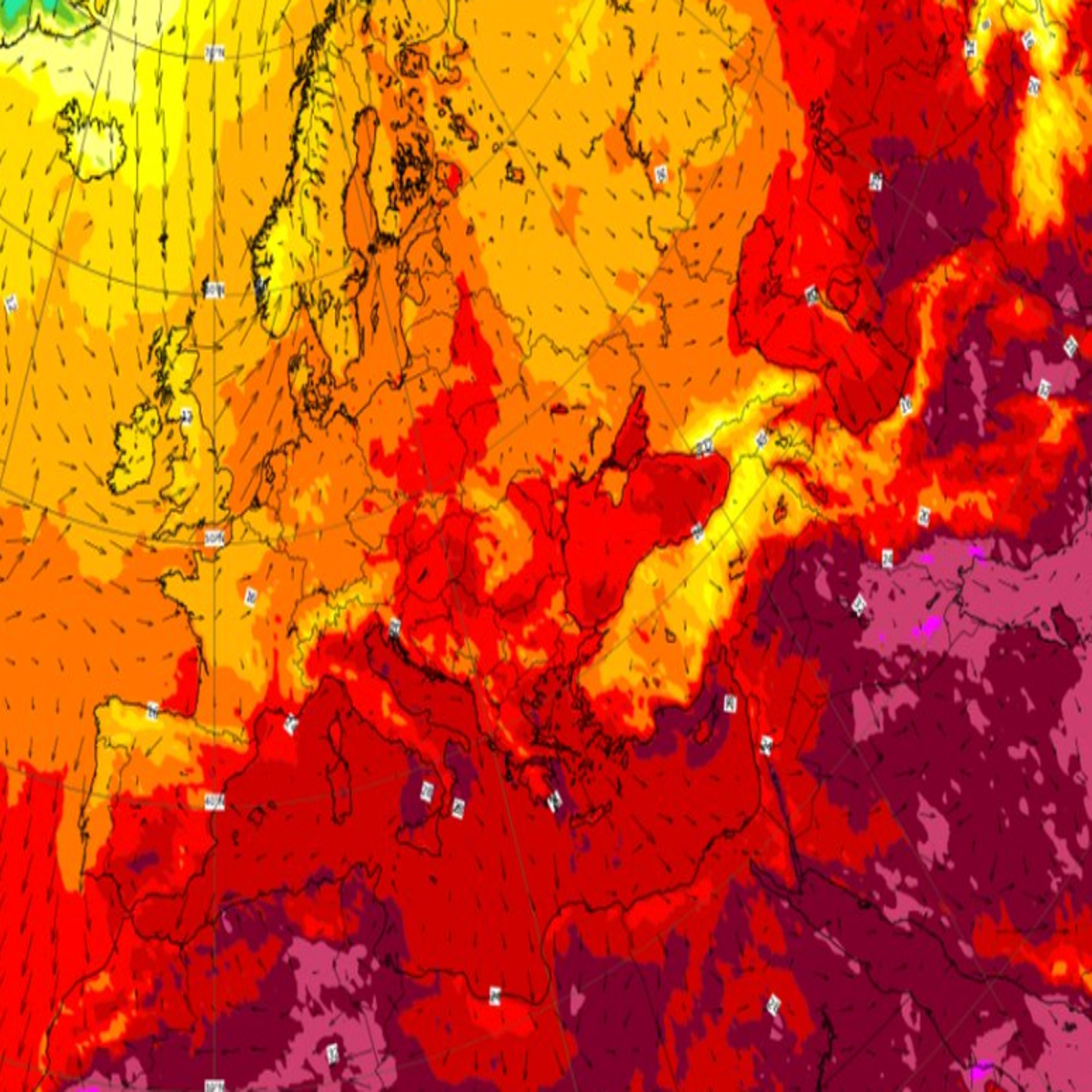 a: Sea surface temperature of the Mediterranean Sea (water masses and