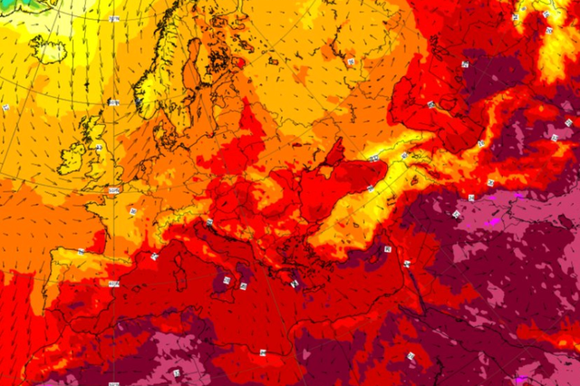 <p>Record-breaking European temperatures contribute to extreme marine heatwaves</p>