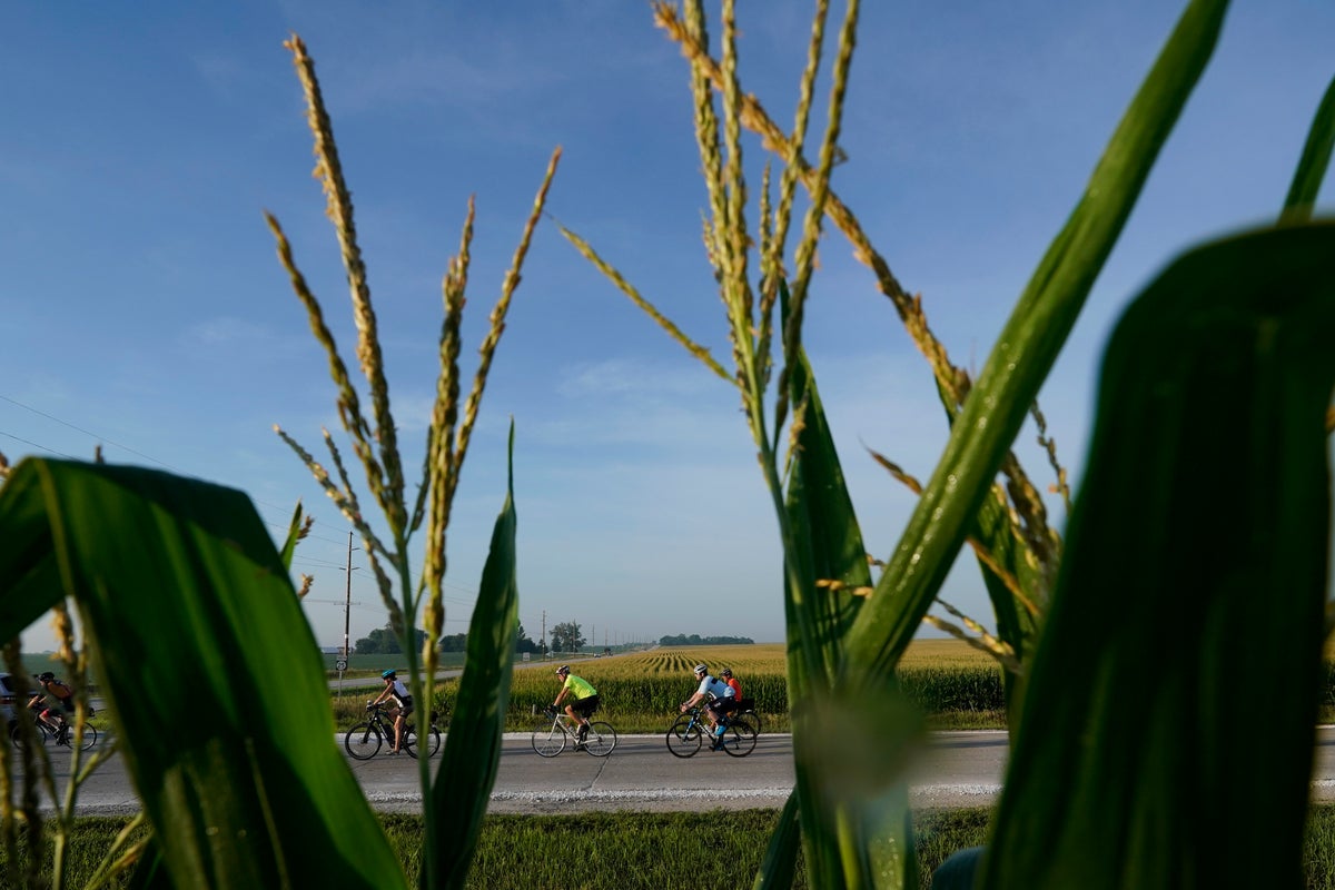 At RAGBRAI, 'the ride will provide' is the mantra for thousands as they bike across Iowa