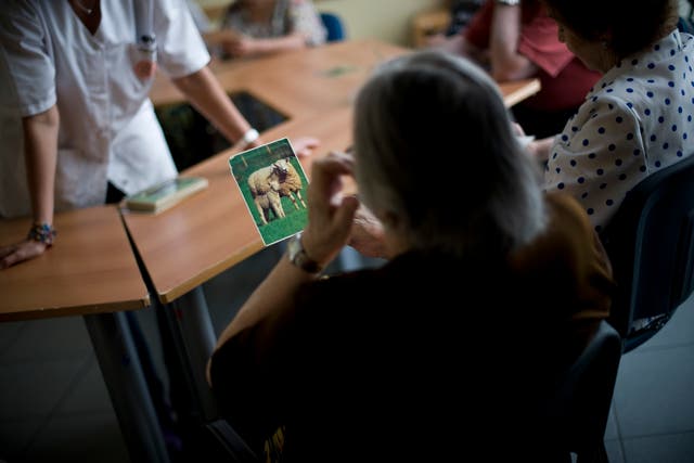 <p>An elderly woman holds a picture of a sheep as she try to remenber the name of the animal during a memory activity at the Cuidem La Memoria elderly home, which specializes in Alzheimer patients on August 2, 2012 in Barcelona, Spain</p>