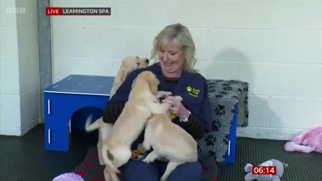 <p>Adorable guide dog puppies interrupt BBC Carol Kirkwood’s weather forecast.</p>