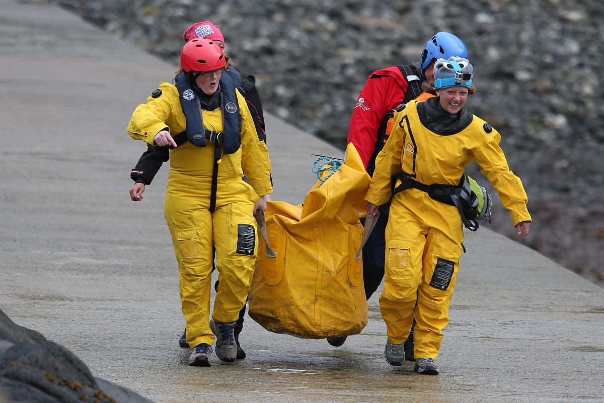 Two northern bottlenose whales stranded off Fife coast