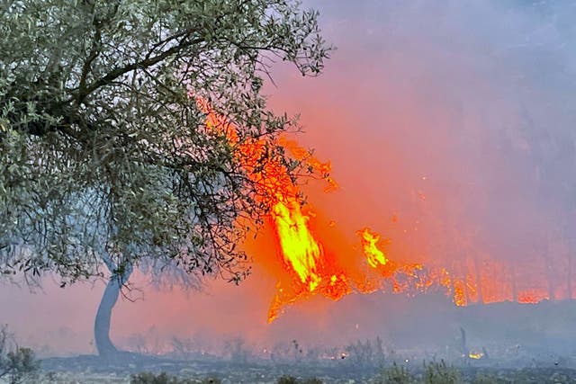 A wildfire on the island of Rhodes, Greece (Sarah George/PA)