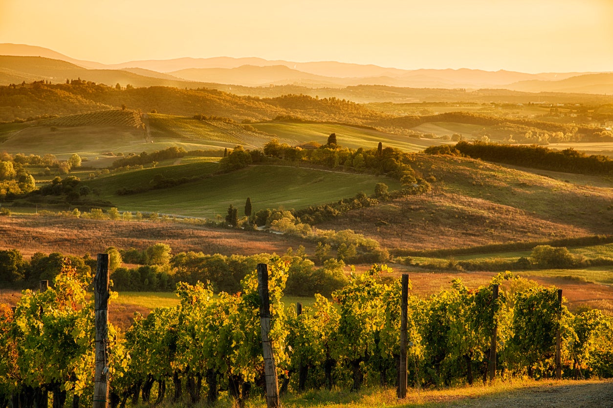 The Tuscan hills begin to change colour as autumn arrives in early October